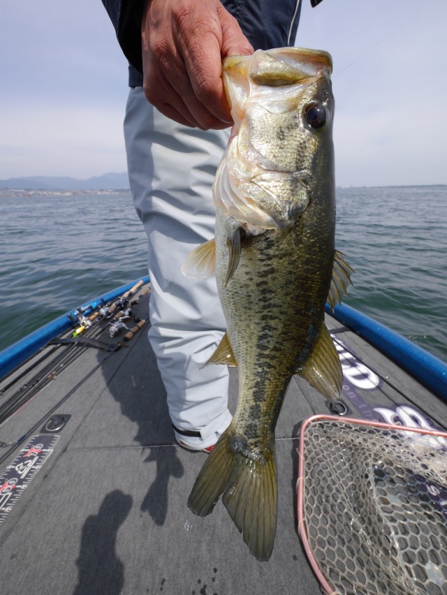 truth hiramura ブログ写真 2016/04/07