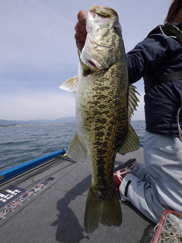 truth hiramura ブログ写真 2016/04/07