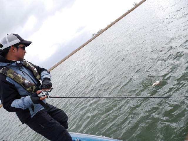 truth hiramura ブログ写真 2016/04/11