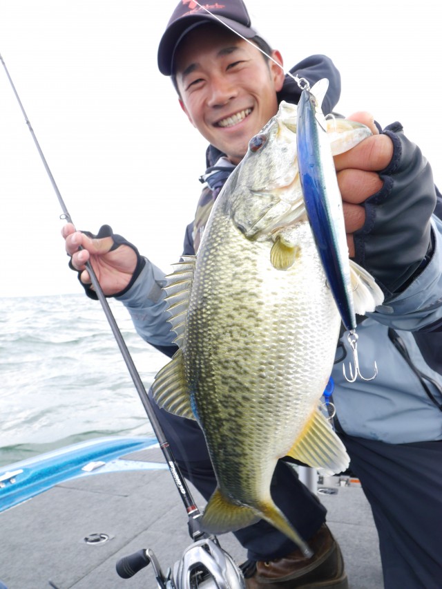 truth hiramura ブログ写真 2016/04/11