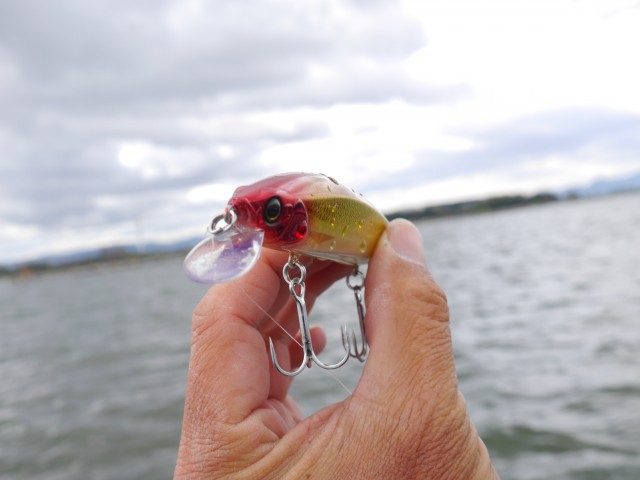 truth hiramura ブログ写真 2016/04/11