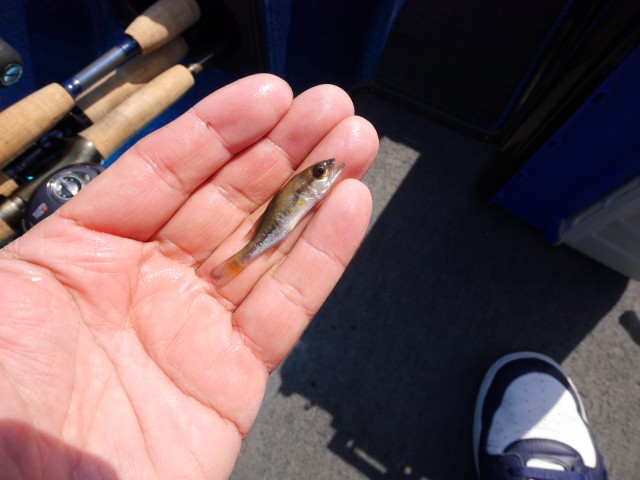 truth hiramura ブログ写真 2016/04/12