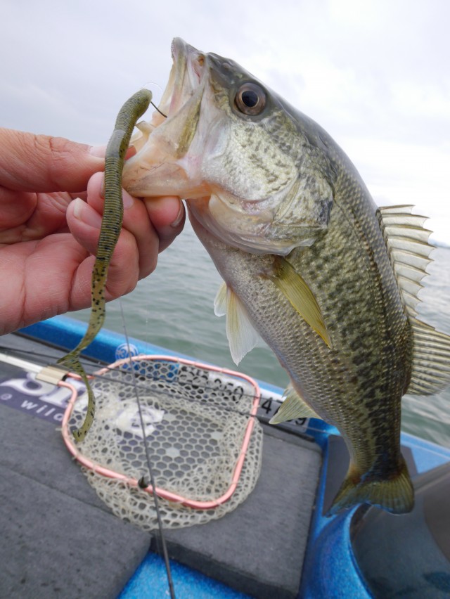 truth hiramura ブログ写真 2016/04/13