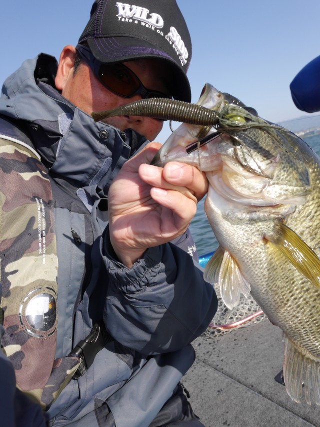 truth hiramura ブログ写真 2016/04/19