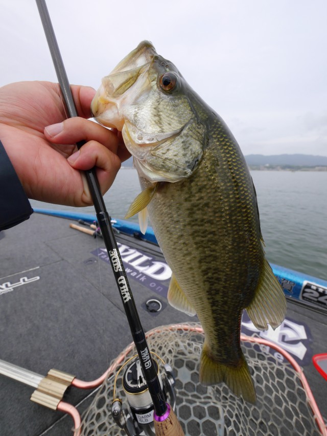 truth hiramura ブログ写真 2016/04/19