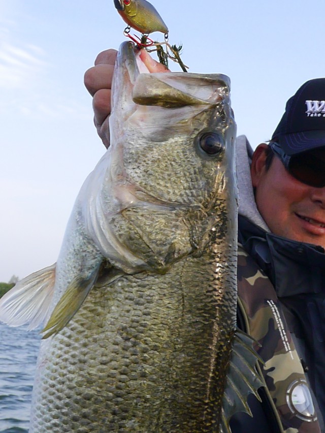 truth hiramura ブログ写真 2016/04/21