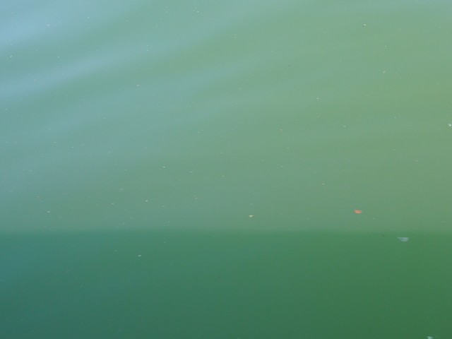 truth hiramura ブログ写真 2016/04/21