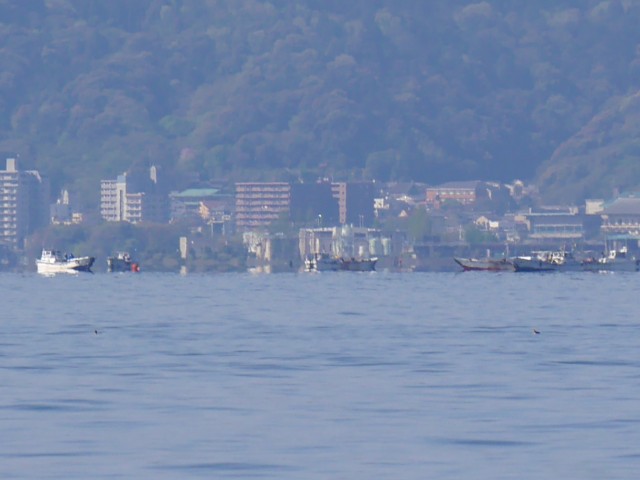 truth hiramura ブログ写真 2016/04/21