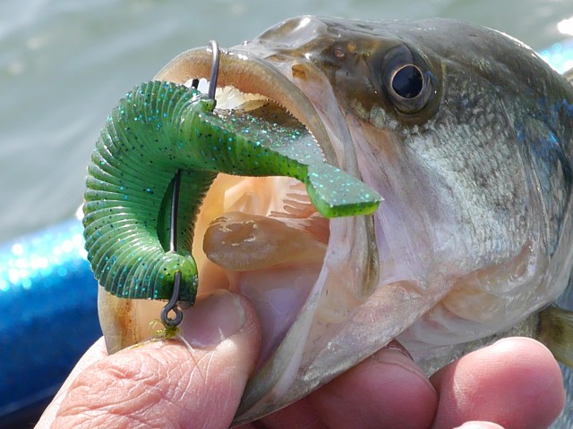 truth hiramura ブログ写真 2016/04/21