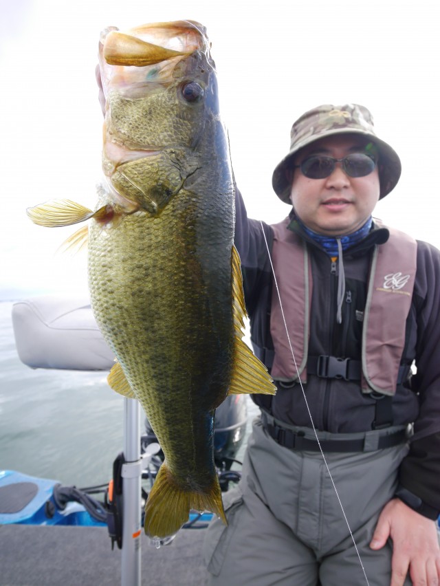 truth hiramura ブログ写真 2016/04/22