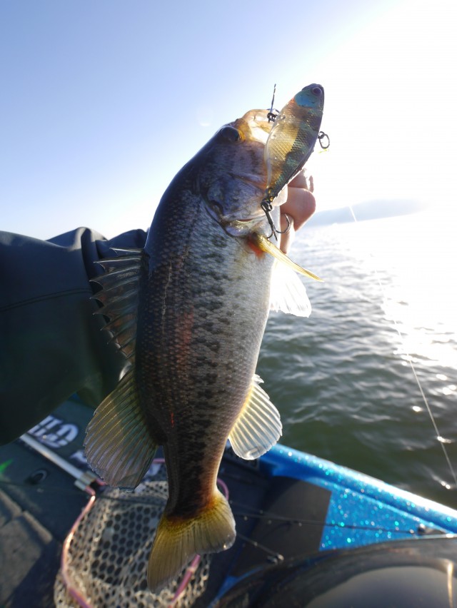 truth hiramura ブログ写真 2016/04/22