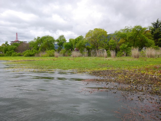 truth hiramura ブログ写真 2016/04/22