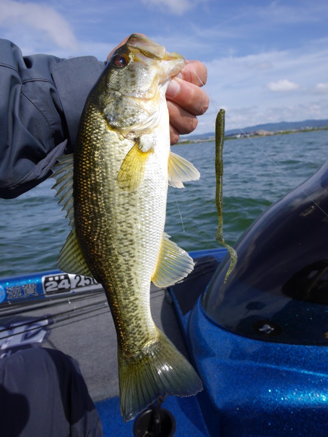 truth hiramura ブログ写真 2016/04/22