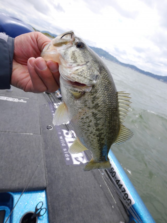 truth hiramura ブログ写真 2016/04/22