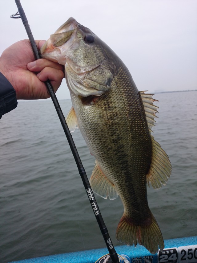 truth hiramura ブログ写真 2016/04/22