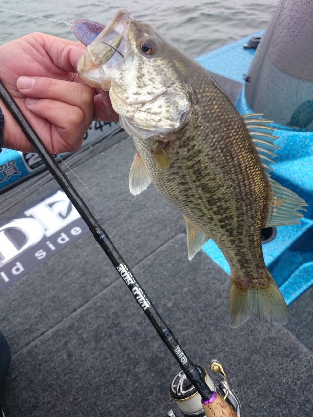 truth hiramura ブログ写真 2016/04/22