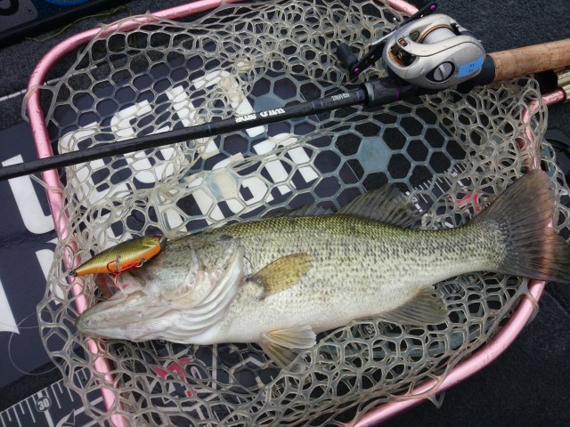 truth hiramura ブログ写真 2016/04/22