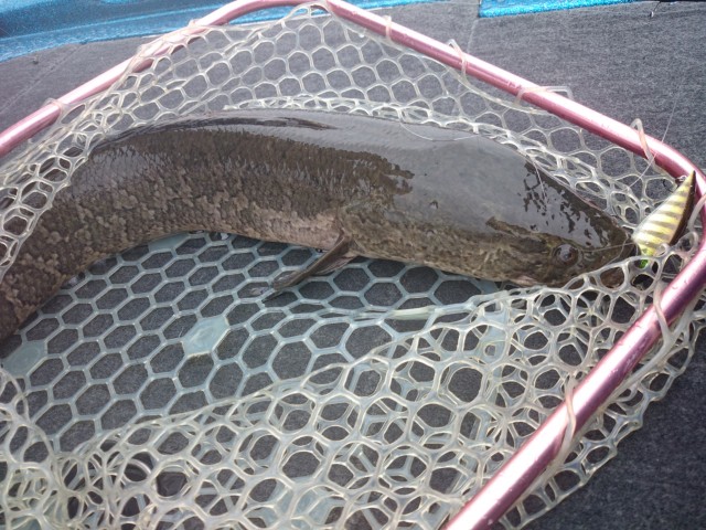 truth hiramura ブログ写真 2016/04/22