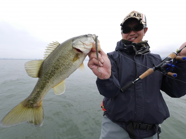 truth hiramura ブログ写真 2016/05/07