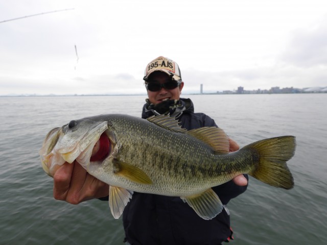 truth hiramura ブログ写真 2016/05/07