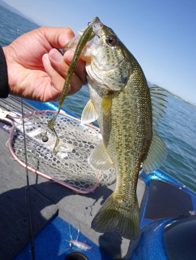 truth hiramura ブログ写真 2016/05/13