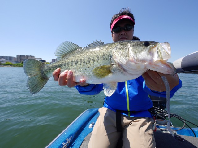 truth hiramura ブログ写真 2016/05/13