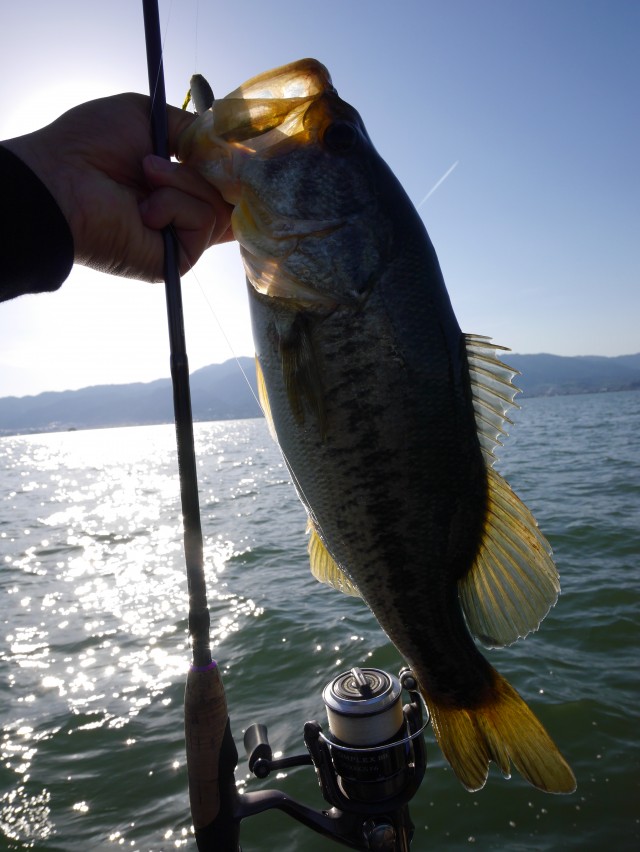 truth hiramura ブログ写真 2016/05/13