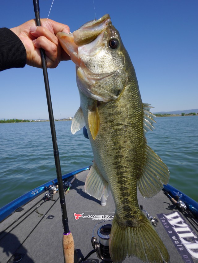 truth hiramura ブログ写真 2016/05/13