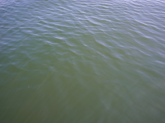 truth hiramura ブログ写真 2016/05/13