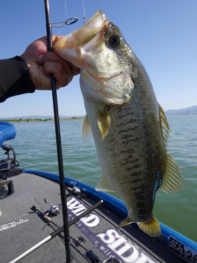 truth hiramura ブログ写真 2016/05/13