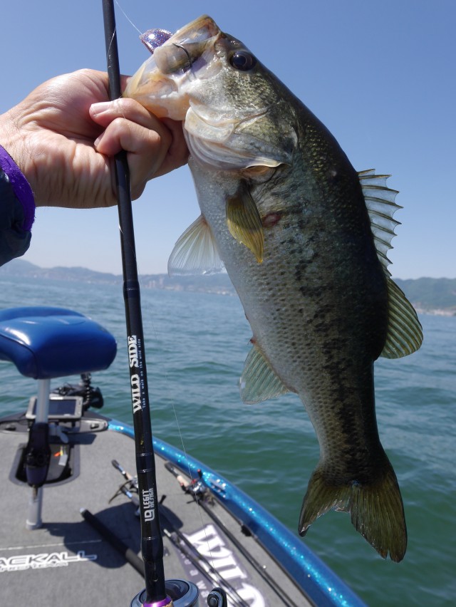 truth hiramura ブログ写真 2016/05/14