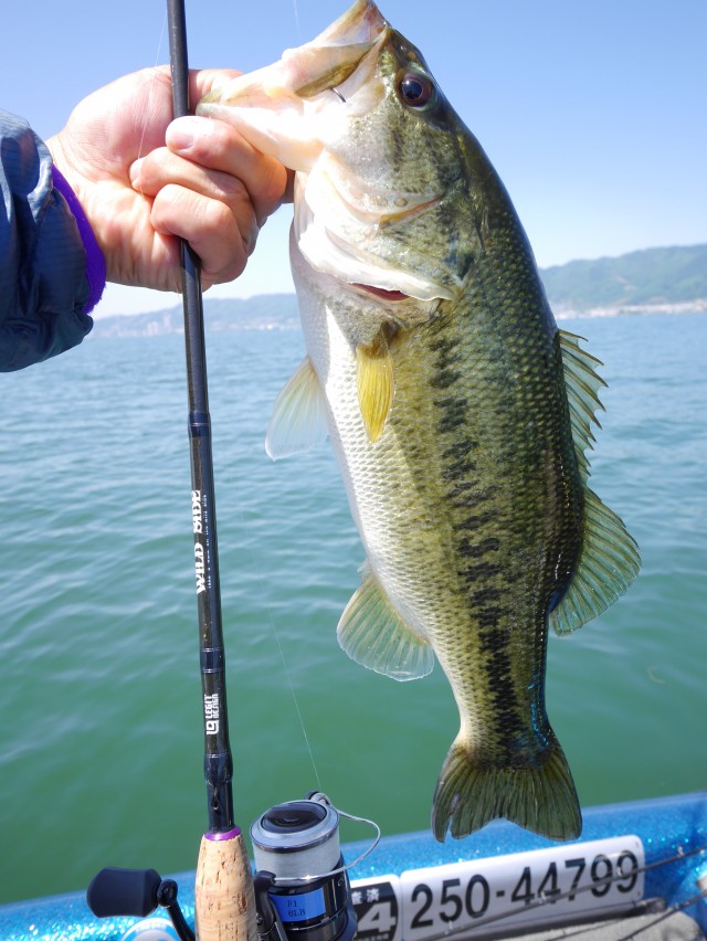 truth hiramura ブログ写真 2016/05/14