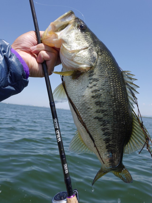 truth hiramura ブログ写真 2016/05/14