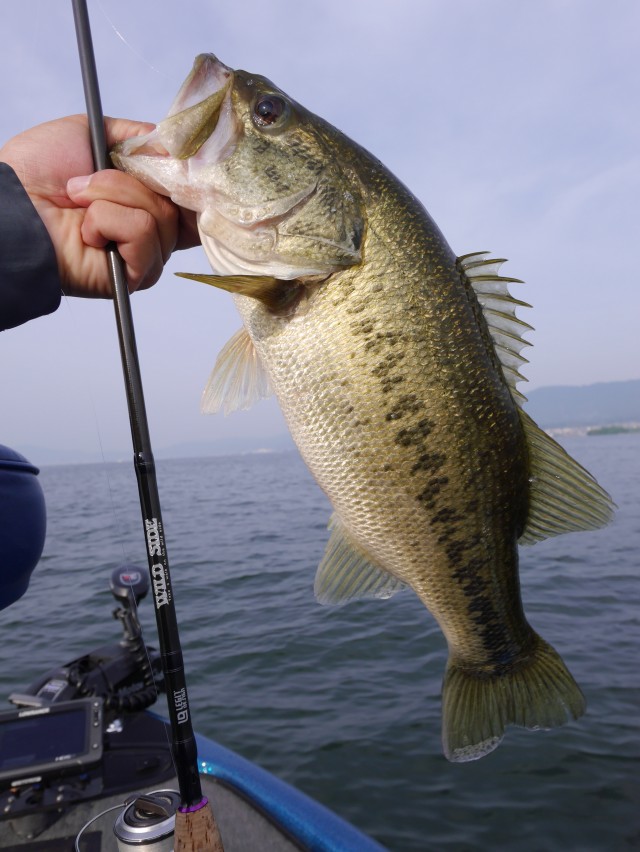 truth hiramura ブログ写真 2016/05/15