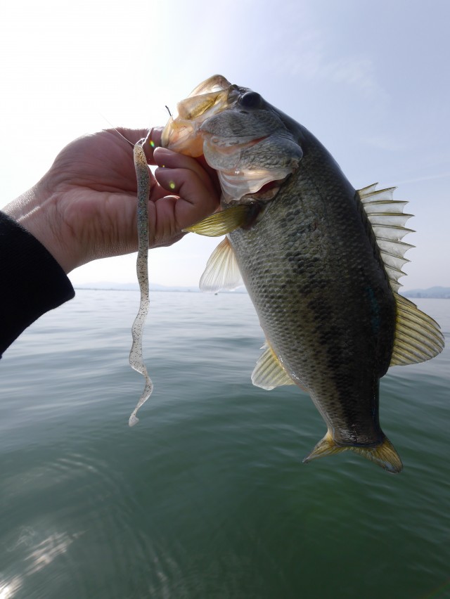 truth hiramura ブログ写真 2016/05/15