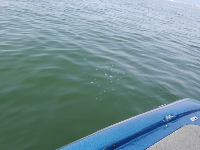 truth hiramura ブログ写真 2016/05/15