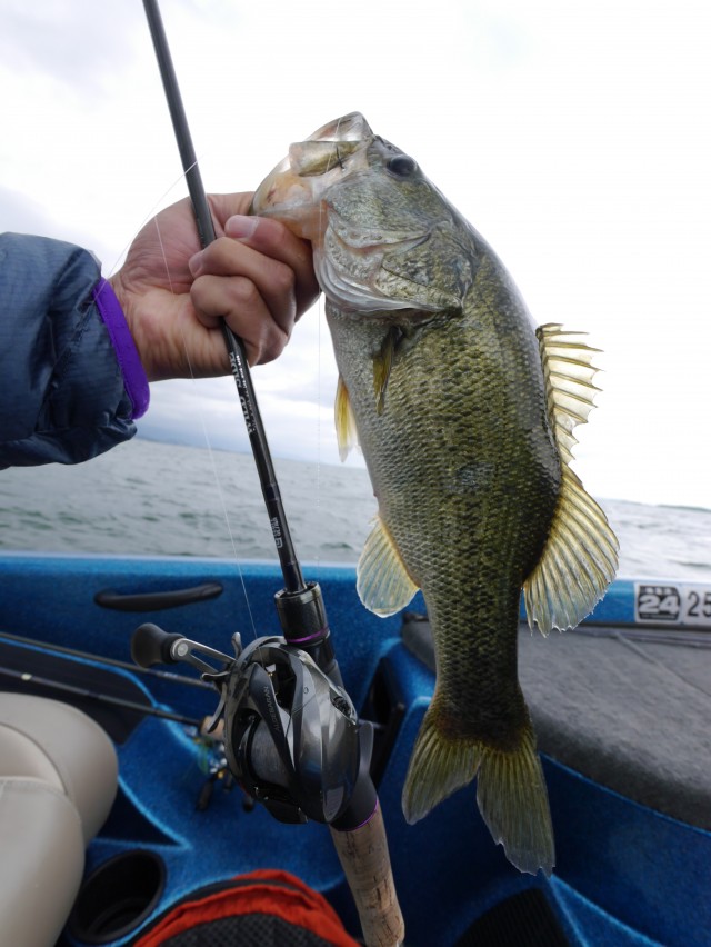 truth hiramura ブログ写真 2016/05/16