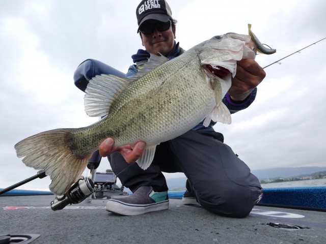 truth hiramura ブログ写真 2016/05/16