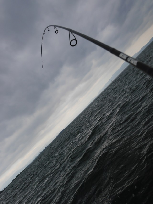 truth hiramura ブログ写真 2016/05/16