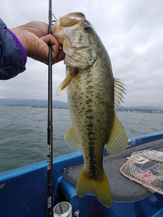 truth hiramura ブログ写真 2016/05/16