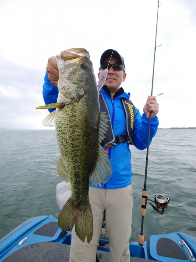 truth hiramura ブログ写真 2016/05/16