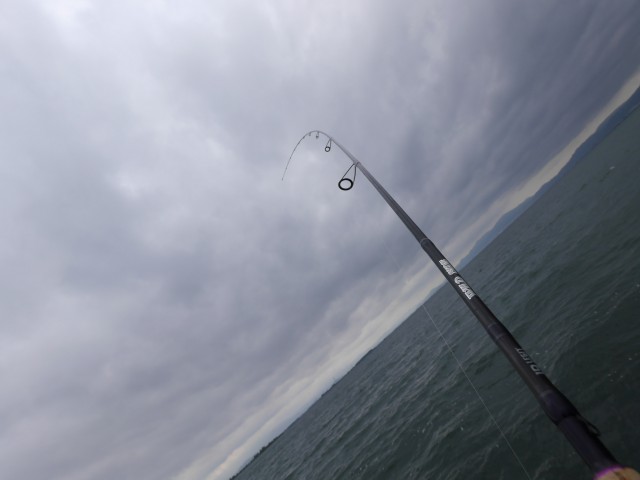 truth hiramura ブログ写真 2016/05/16