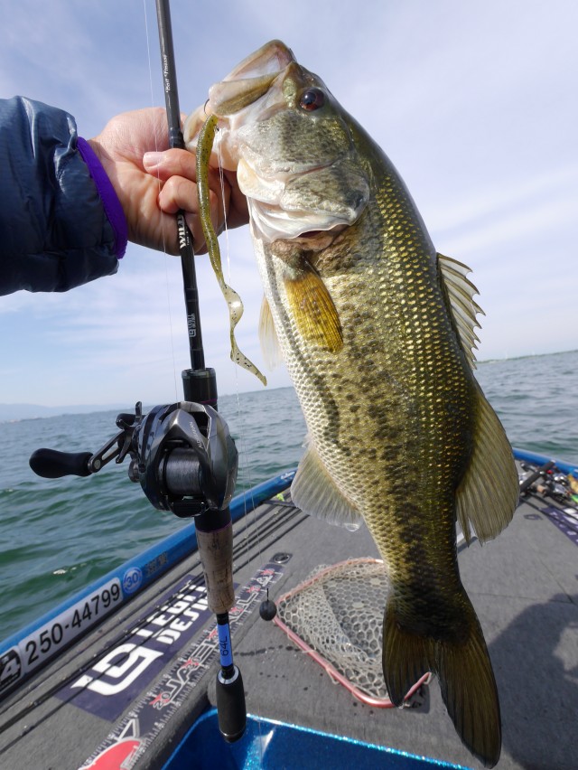 truth hiramura ブログ写真 2016/05/18