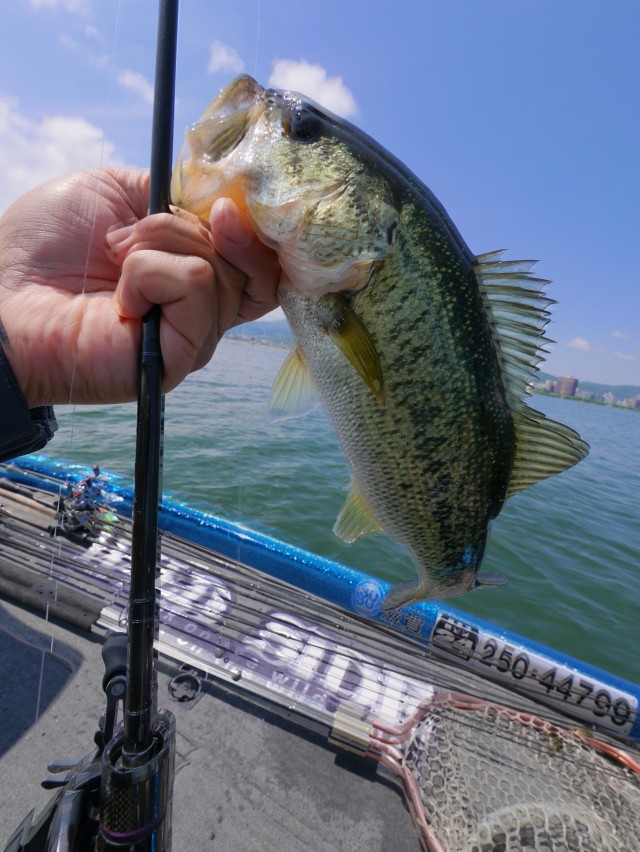 truth hiramura ブログ写真 2016/05/18