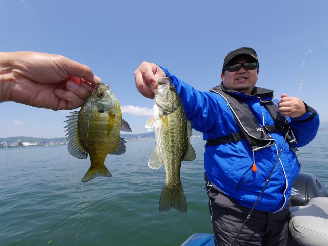 truth hiramura ブログ写真 2016/05/18