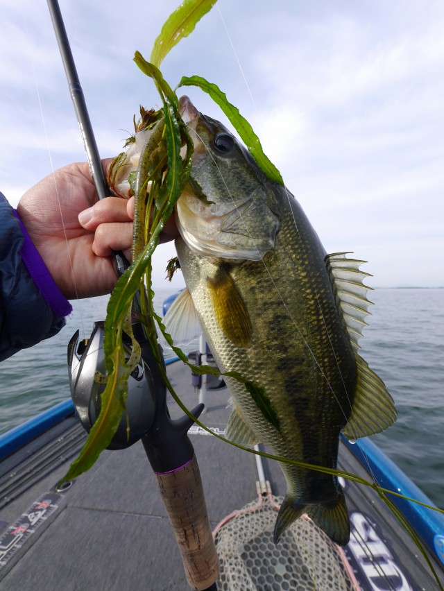 truth hiramura ブログ写真 2016/05/18