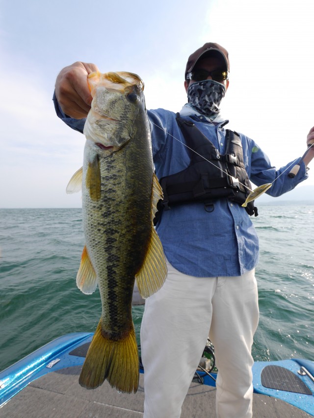 truth hiramura ブログ写真 2016/05/25