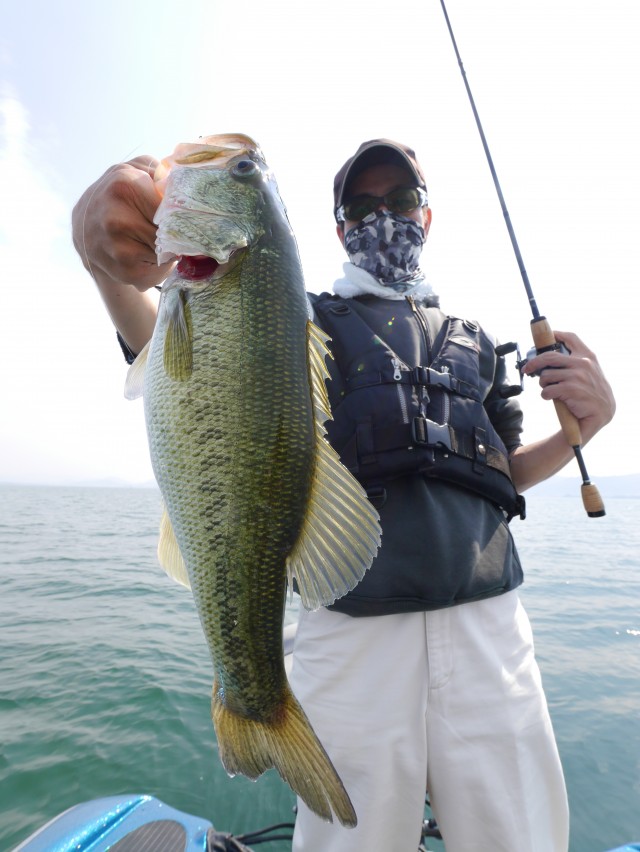 truth hiramura ブログ写真 2016/05/25