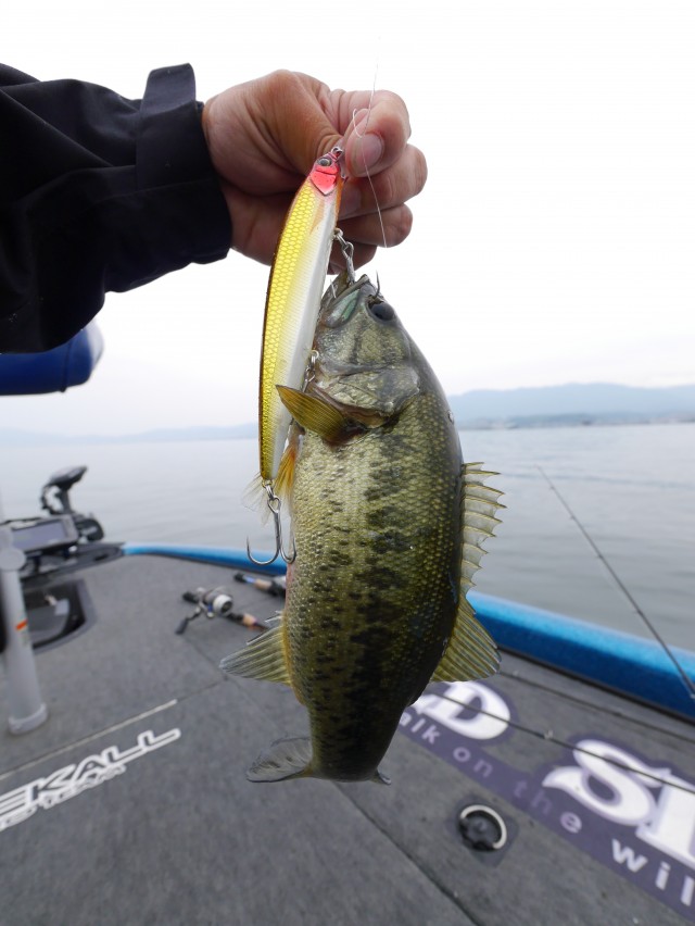 truth hiramura ブログ写真 2016/05/26