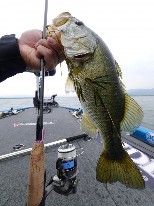 truth hiramura ブログ写真 2016/05/26